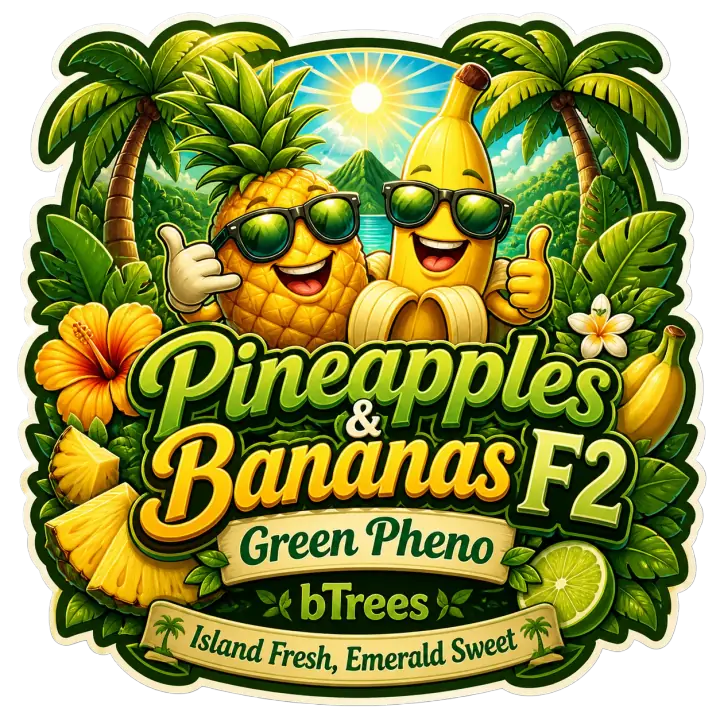 Pineapples & Bananas F2 - Green Pheno by Little b Trees product image